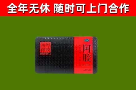 长安镇回收阿胶